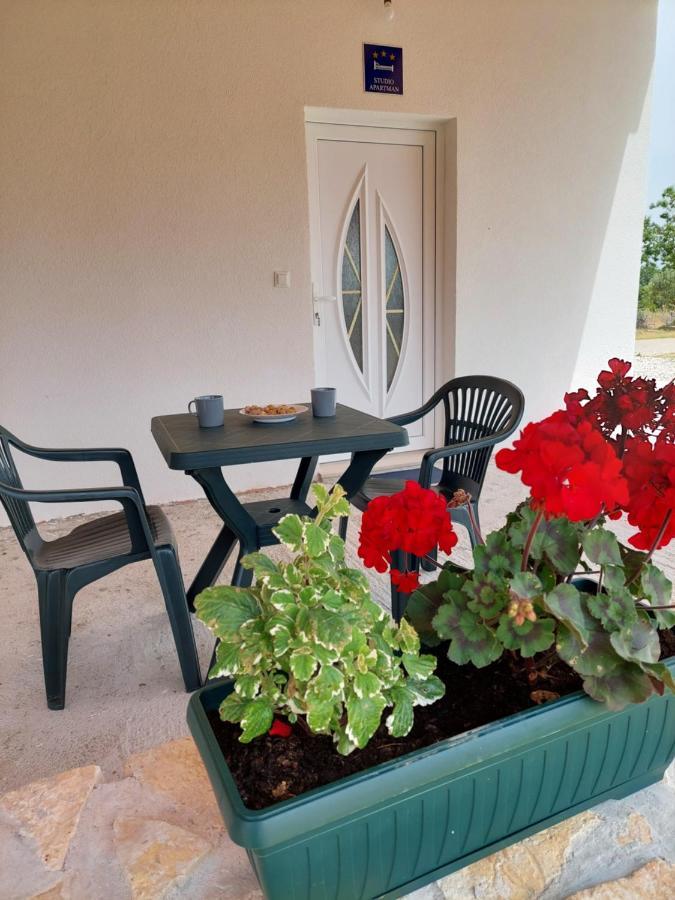 סקארדין Apartmani Dejan מראה חיצוני תמונה