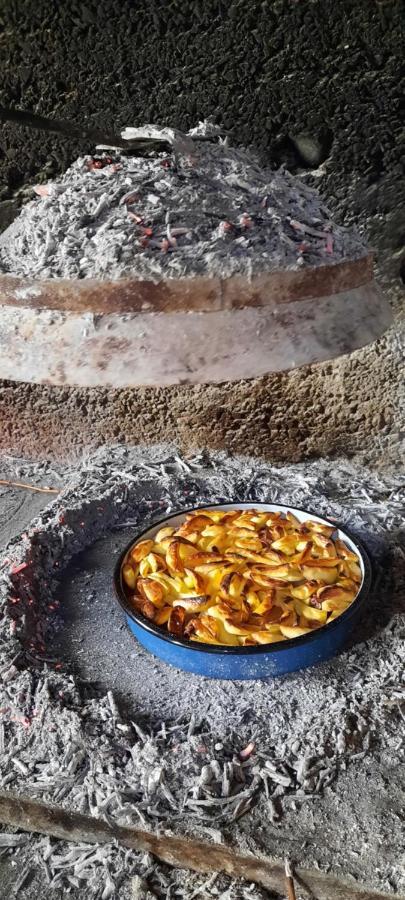 סקארדין Apartmani Dejan מראה חיצוני תמונה