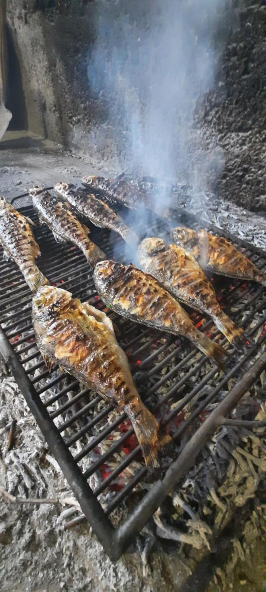 סקארדין Apartmani Dejan מראה חיצוני תמונה
